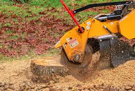 How Our Tree Care Process Works  in  St Anne, IL