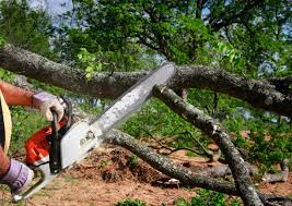 Best Lawn Grading and Leveling  in St Anne, IL